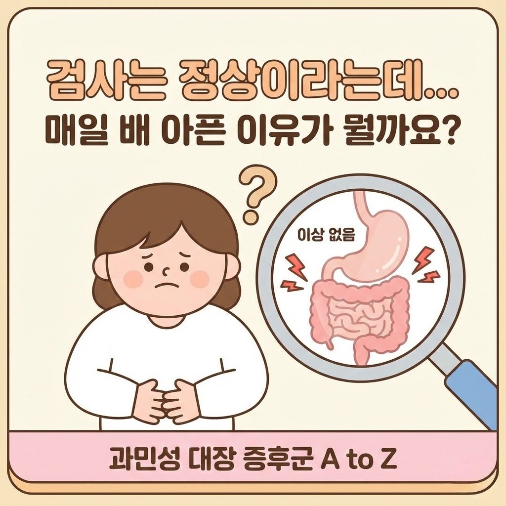 검사는 정상이라는데 배는 왜 아플까 과민성 대장 증후군 A to Z 1