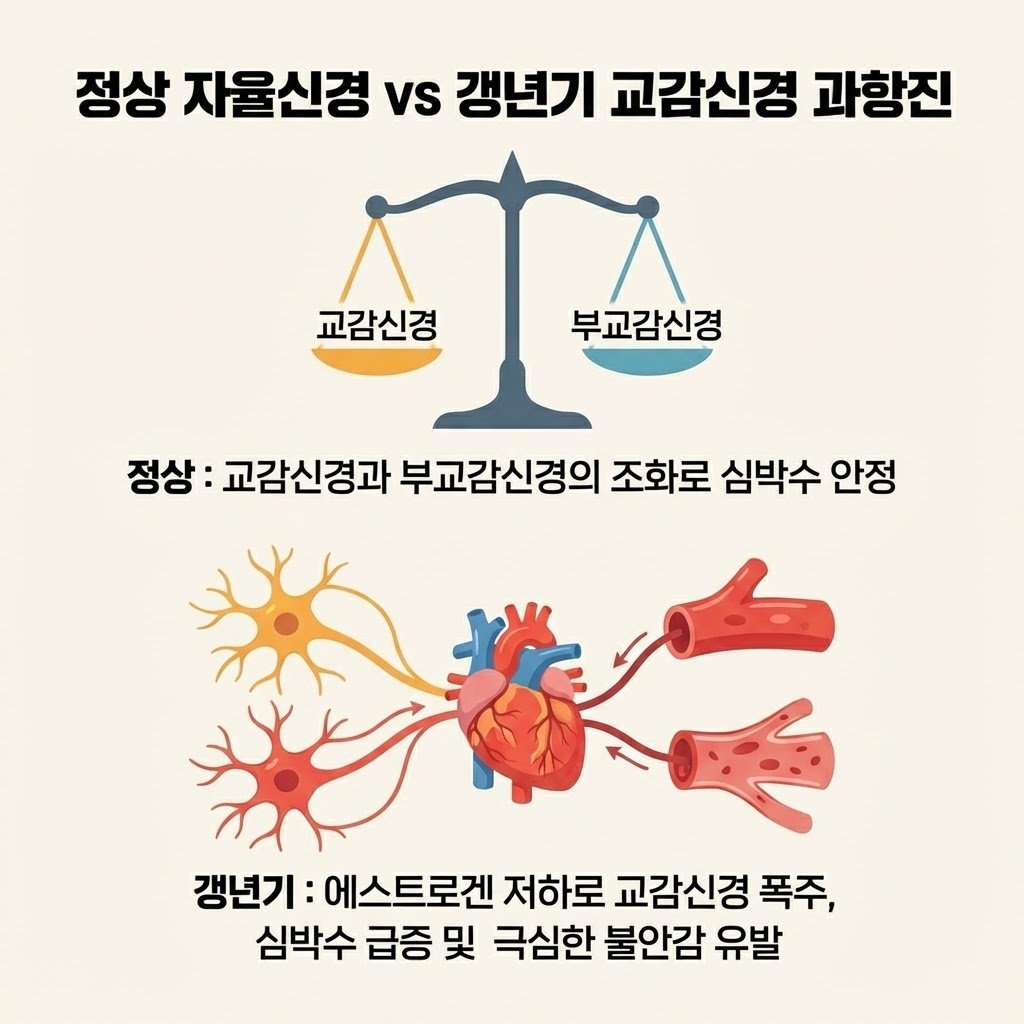 정상 자율신경 갱년기 교감신경 폭주 두근거림 심박수