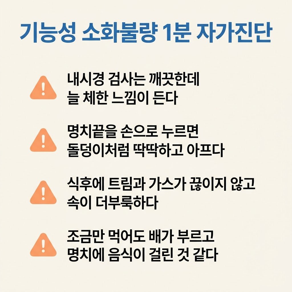 기능성 소화불량 담적 증상 명치 통증 트림 자가진단