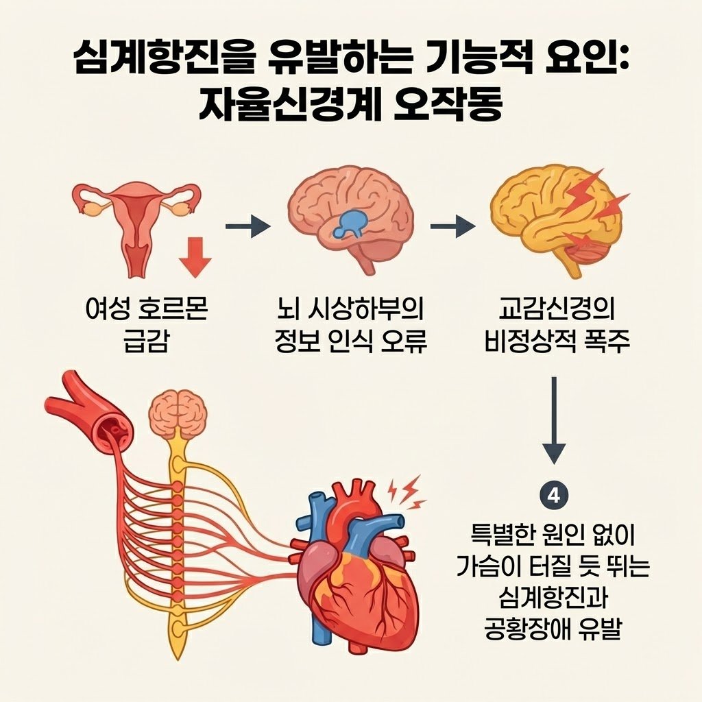 여성 호르몬 감소 시상하부 오작동 교감신경 흥분 공황장애