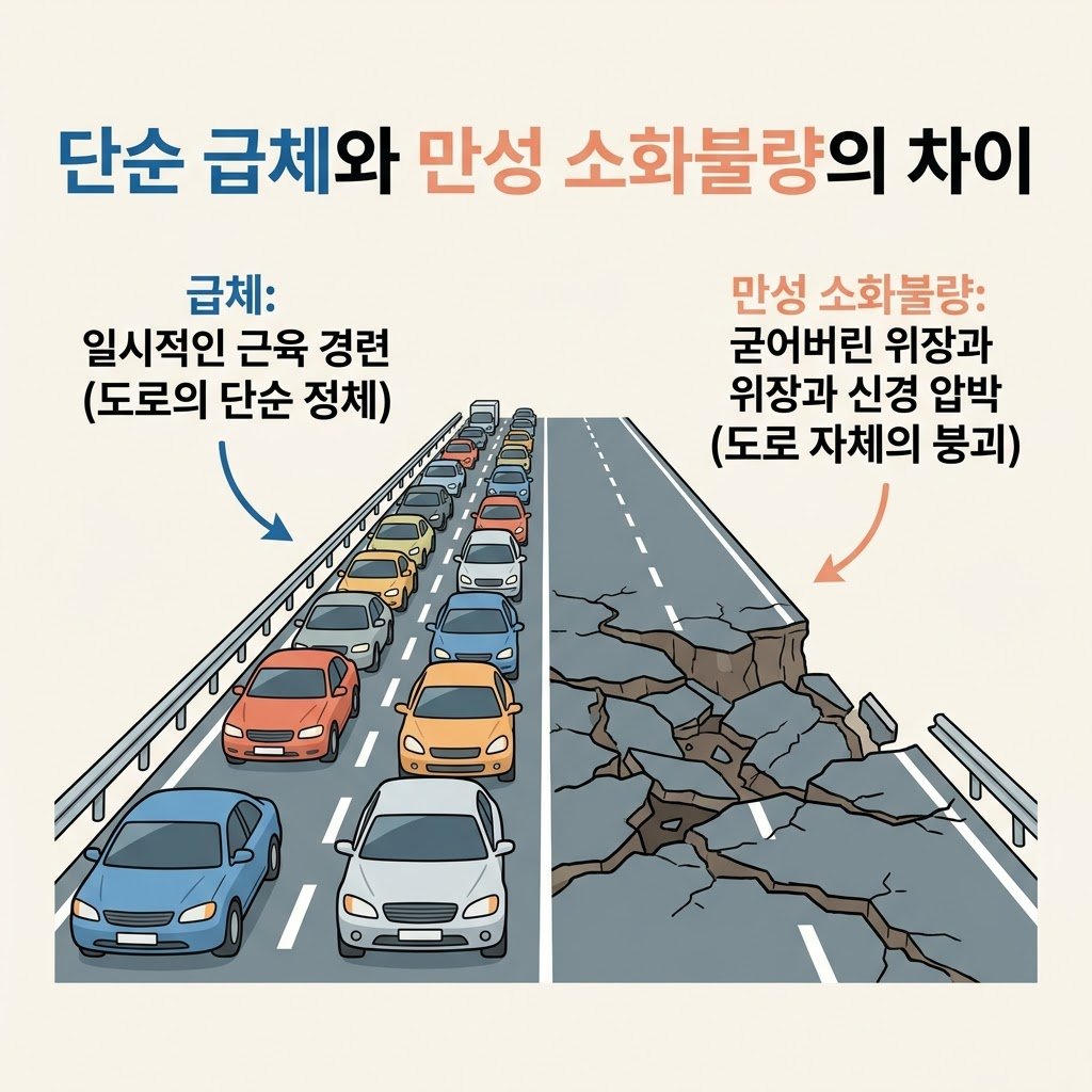 급체 만성 소화불량 원인 차이 위장 근육 경련 담적병 인포그래픽