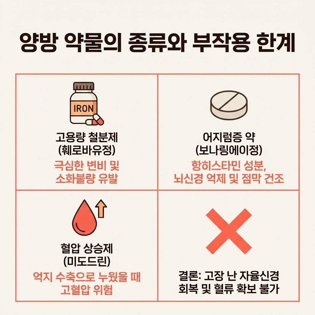 철분제 부작용 훼로바유정 미도드린 기립성 저혈압 약