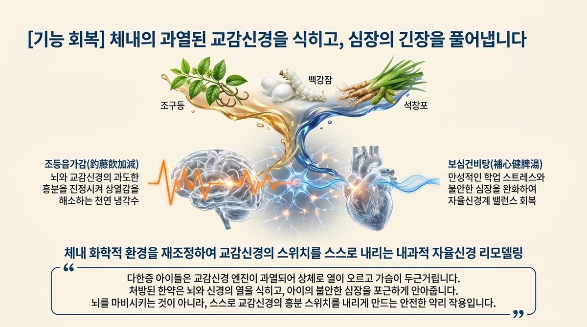 조등음가감 보심건비탕 교감신경 안정화 수족다한증 약리 기전