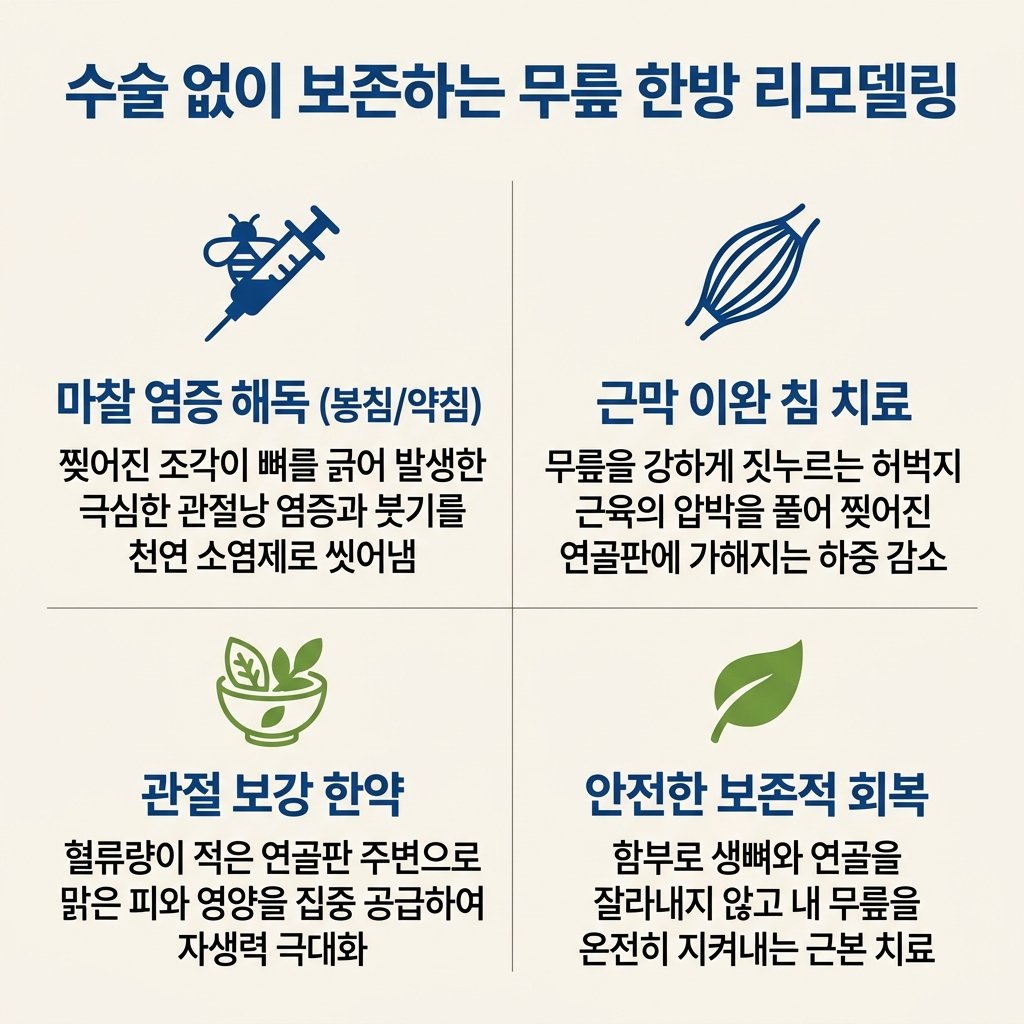 반월상 연골판 한의원 보존 치료 봉침 약침 관절 한약 근막 이완