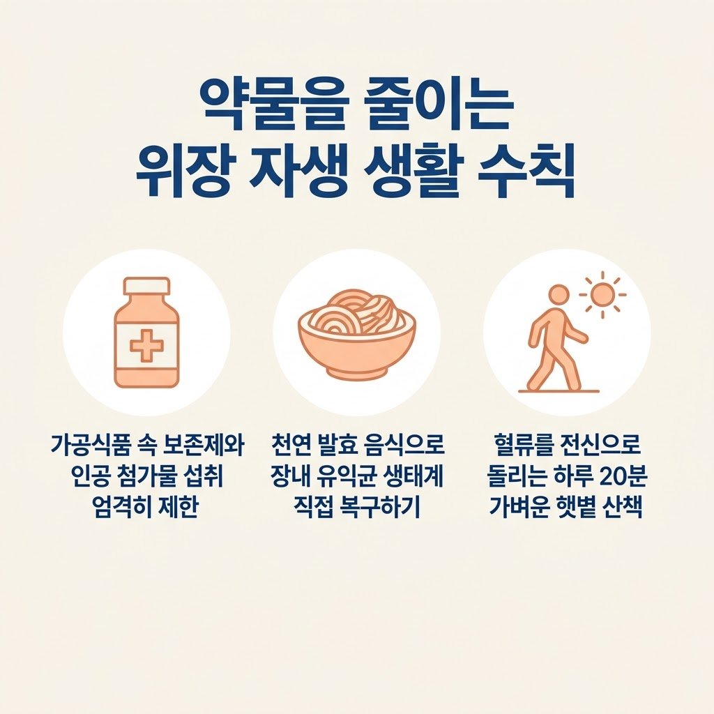 위장병 예방 생활습관 첨가물 제한 천연발효음식 햇볕산책
