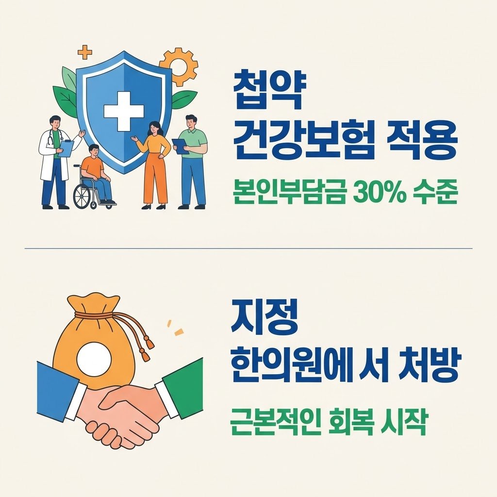 뇌혈관질환 후유증 중풍 성향정기산 뇌 신경 가소성