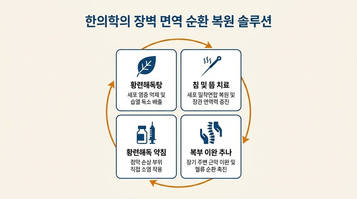 한의학 4단계 장염 순환 복원 치료