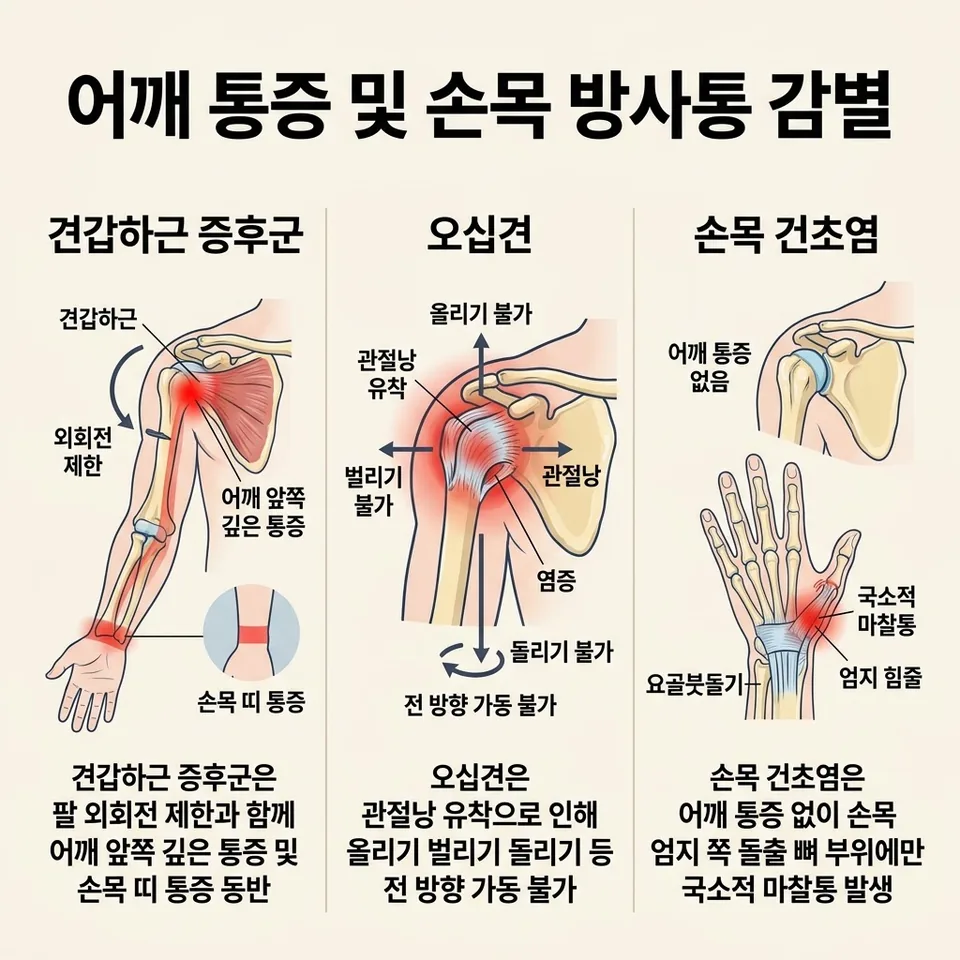 어깨 질환 및 손목 통증 감별 인포그래픽