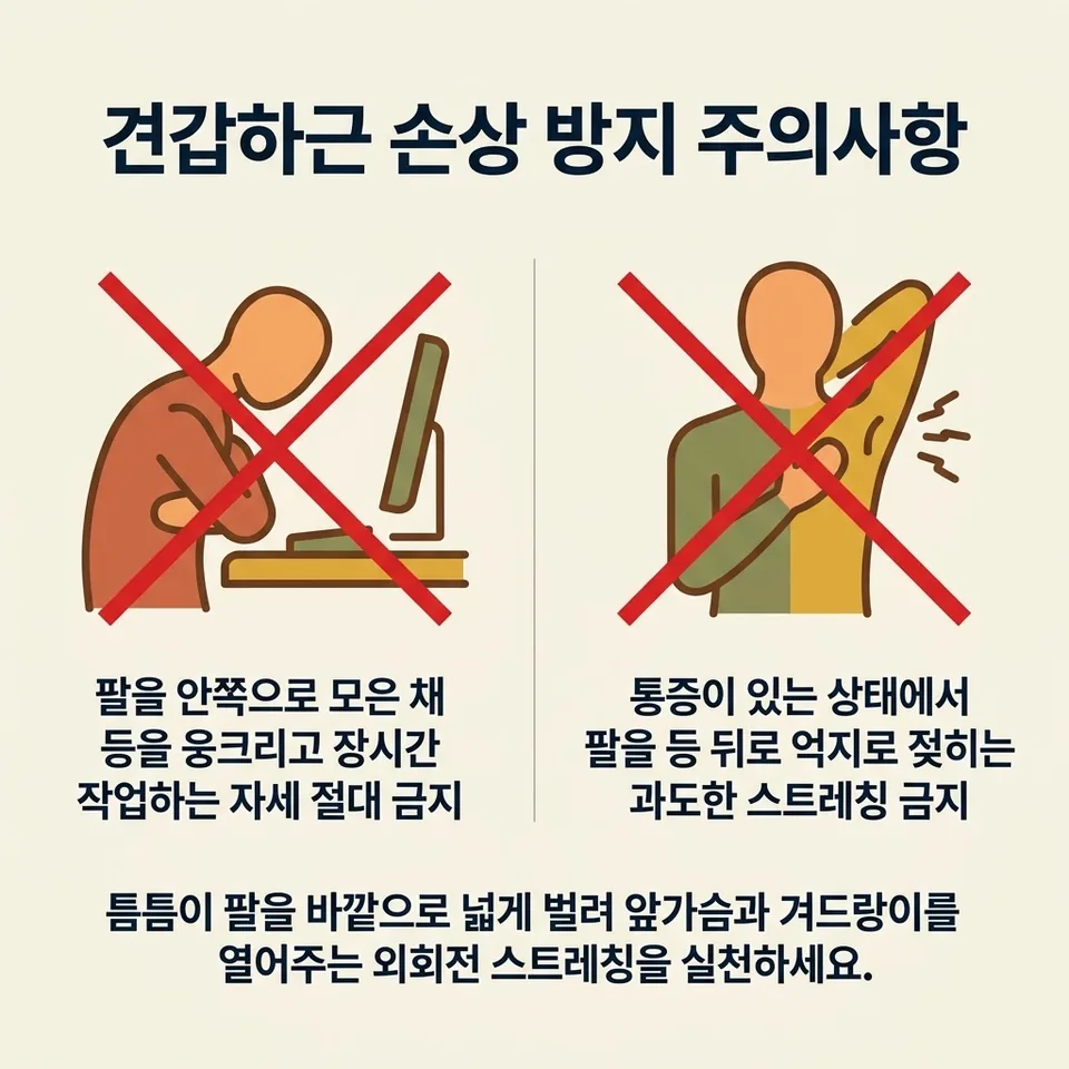 금기 행동 및 생활 관리
