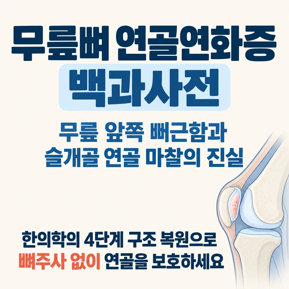 무릎뼈 연골연화증 슬개골 연골 마찰 및 관절낭 실루엣