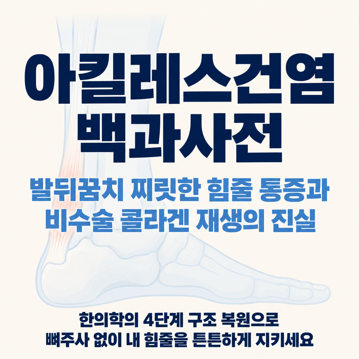 아킬레스건염 발뒤꿈치 힘줄 미세 파열 및 부종 실루엣